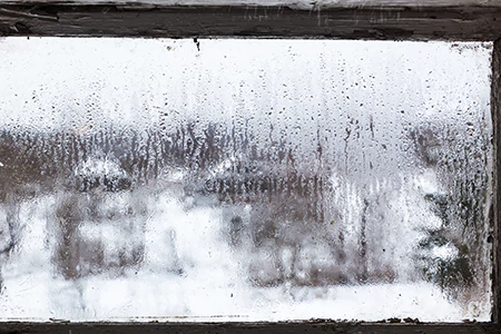Defogging Double Pane Windows in Safety Harbor, FL